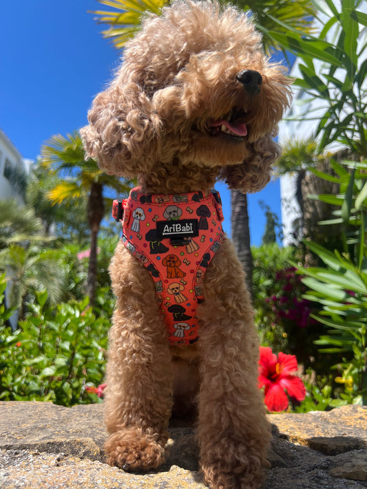 Arnés Ajustable Caniches - DropMenorca