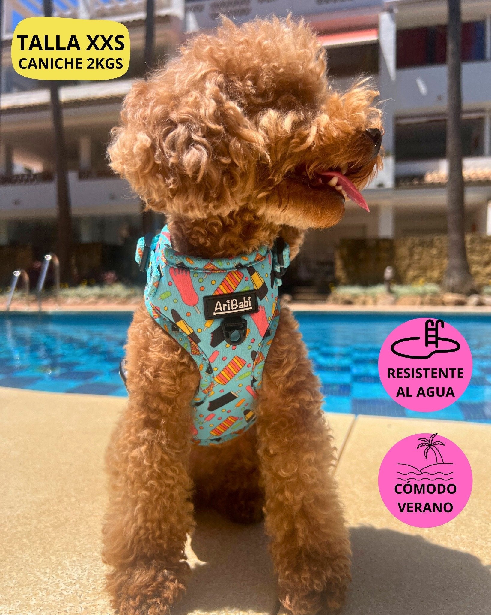 Arnés Ajustable FrigoPata - DropMenorca