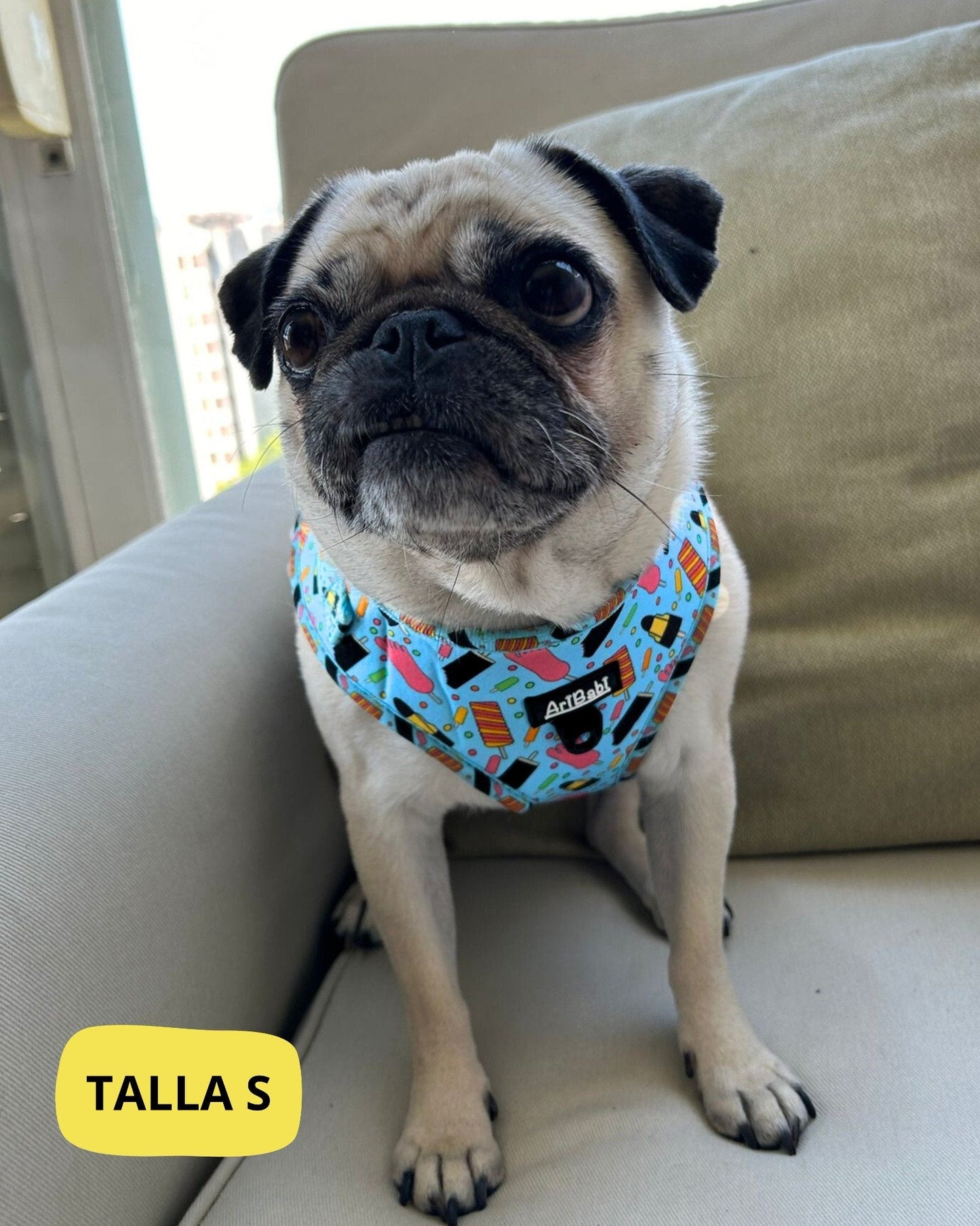 Arnés Ajustable FrigoPata - DropMenorca