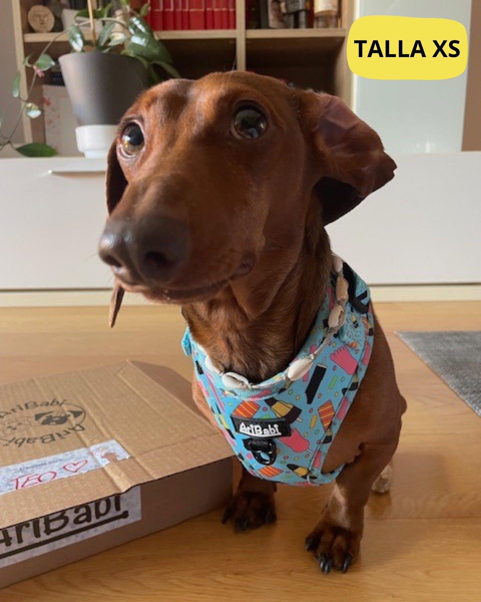 Arnés Ajustable FrigoPata - DropMenorca