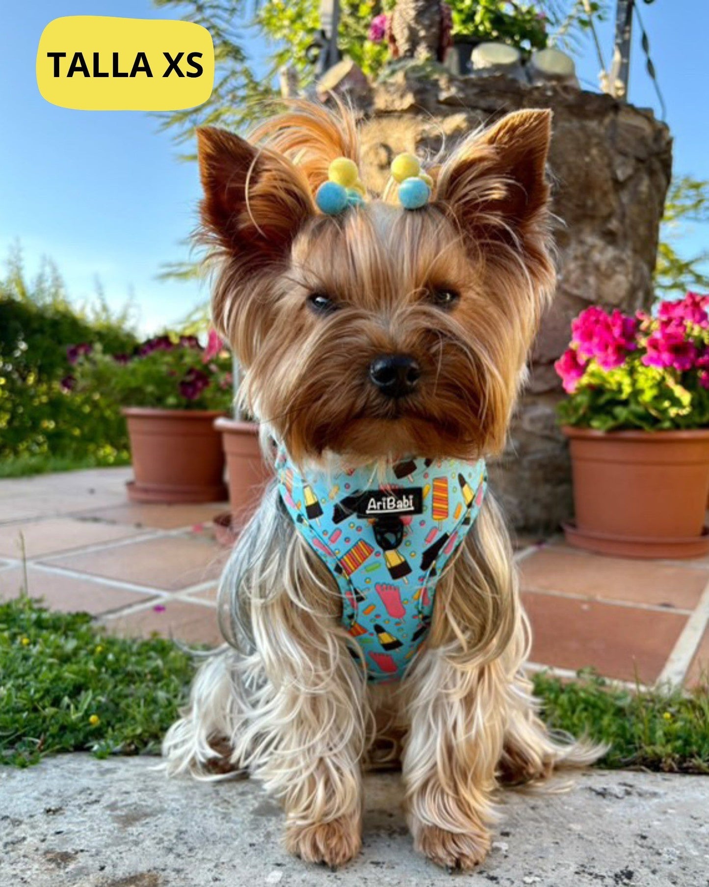 Arnés Ajustable FrigoPata - DropMenorca