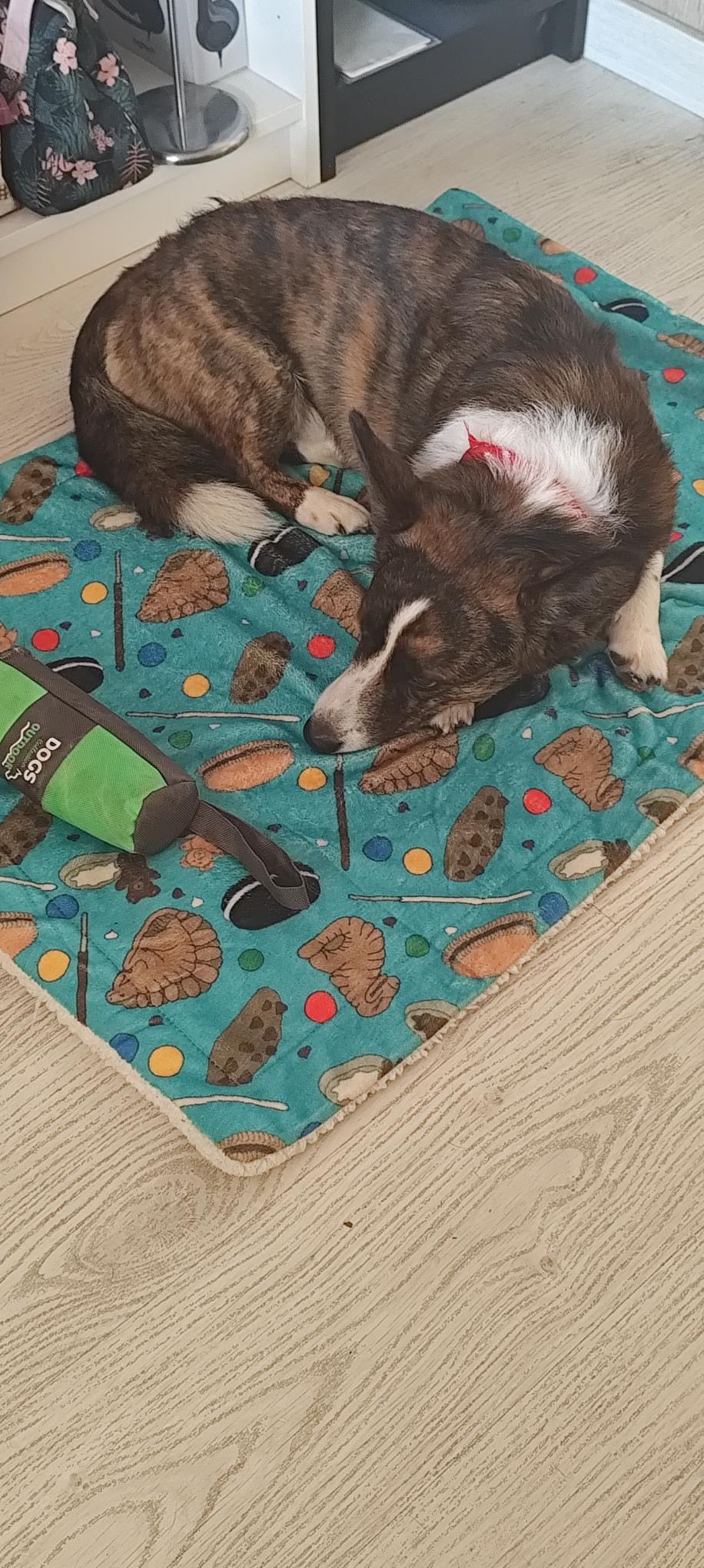 Mantas Ultra Suaves Cookies - DropMenorca