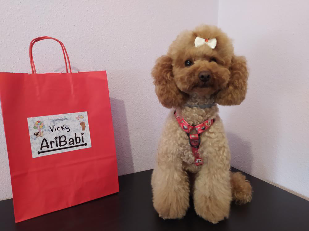 Arnés Clásico Ajustable Tokio - DropMenorca