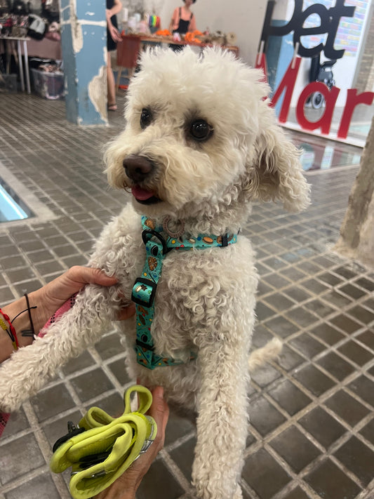 Arnés Clásico Ajustable Cookies - DropMenorca