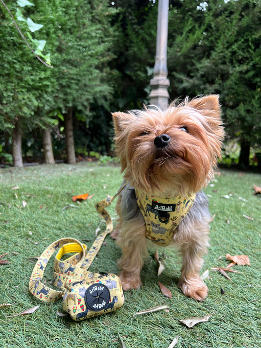 Correa Estampada Kenia - DropMenorca