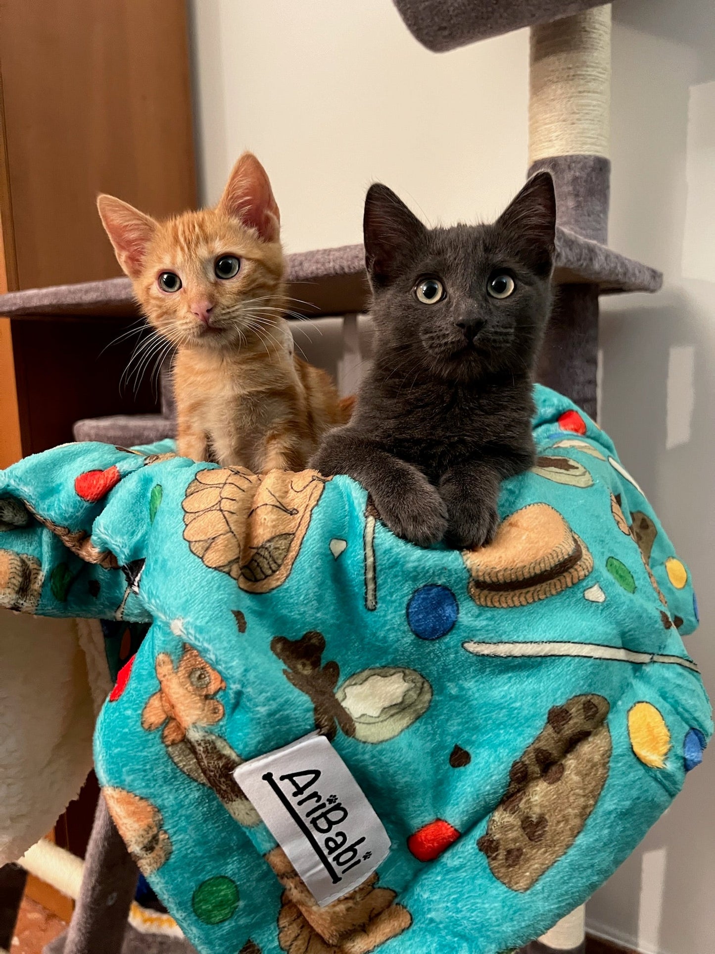 Mantas Ultra Suaves Cookies - DropMenorca