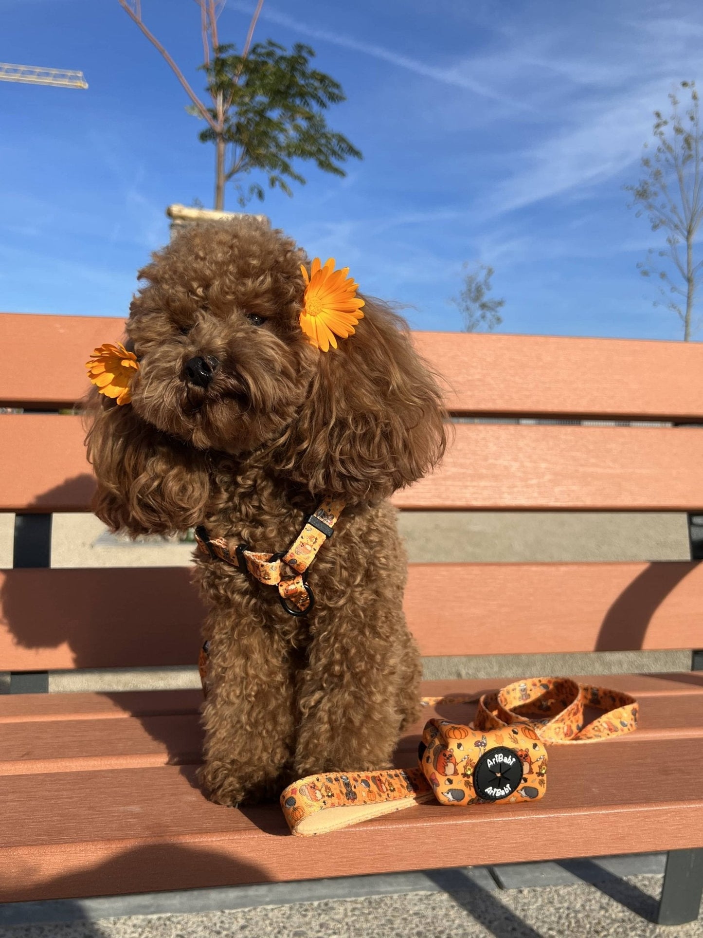 Porta Bolsas perro Yosemite - DropMenorca